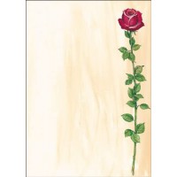 SIGEL DP695 Papier a  lettres, 21 x 29,7 cm, 90g/m², une rose rouge, rose et vert, 25 feuilles