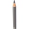 Faber-Castell Couleur Polychromos artistes 'crayon 1 gris chaud