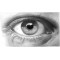 Crayon graphite unique de l'artiste Faber-Castell Goldfaber F