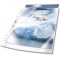Durable 268219 Pochettes plastiques perforees premium pour Document A4 - Perforations renforcees universelles 11 trous - Sachet 
