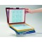 Durable 557900 Vario Pro Pupitre Metallique Mixte 10 Pochettes pour Consultation et Presentation Documents A4 2 Pochettes/5 Colo