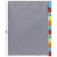 Durable 663319 Registre d'enveloppes A4 12 pieces, 1 piece, transparent avec onglets de couleur