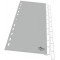 Durable 644110 Index vierges en PP (avec onglets vierges) 10 pieces, gris
