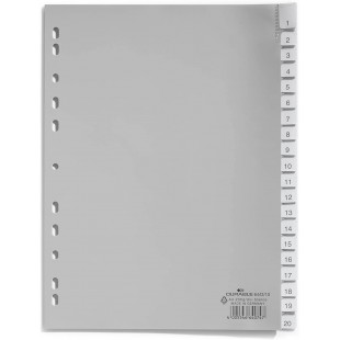 Durable 644310 Intercalaires Format A4 20 Touches - Onglets Soudes et Planches d'Insertions 1-20/A-Z - Perforations Universelles