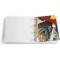 Durable Filefix A4 8064-19 Sachet de 50 bandes Attaches auto-adhesives Transparent