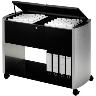 Durable 3080121 Design Line Desserte Mobile pour 100 Dossiers Suspendus Format Mixte - (L x H x P) 99 x 69,5 x 44 cm Finition An