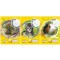 LANDRe 100050090 LANDR Cahier Format A4, lineature 21/ligne, 32 pages