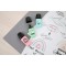 Etui carton x 5 surligneurs STABILO BOSS MINI Pastellove 2.0 - touche de turquoise + menthe à l'eau + sorbet abricot + soupçon d