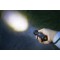 Brennenstuhl LuxPremium Lampe de poche LED TL 600 AF rechargeable, focus, IP67/Lampe torche rechargeable avec LED CREE (630lm, p