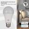 Connect Ampoule LED WiFi SB 800 E27 (compatible avec Alexa et Google Assistant, aucun hub necessaire, ampoule intelligente 2,4 G