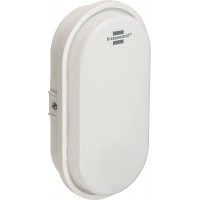 1270780900 Lampe Ovale LED Brennenstuhl-15 W-pour l'interieur et l'exterieur-IP65-4000 K-1680 LM-Ideale pour Montage au Plafond 