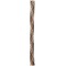 782955 100% Polyester Fil A Coudre Toute Tresse Coton Multicolore 46.5x1.3x7 cm 
