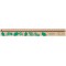 Regle 30 cm 100% bois FSC 50033621