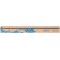 Regle 30 cm 100% bois FSC 50033621