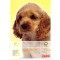  3320801 Carnet vocabulaire etui de Up"Speak Universal, A5