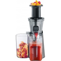 SEVERIN ES 3571 Slow Juicer (150 W, y compris l'essai de Fruits surgeles), Gris-noir metallique