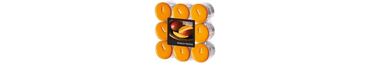 Bougies Parfumées Chauffe-Plat