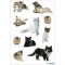  Sticker deco "Photos de chat"