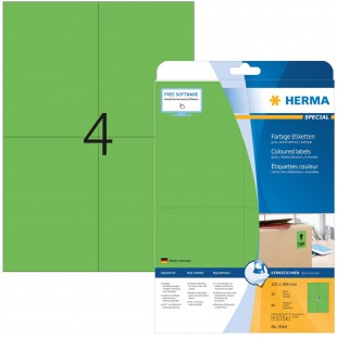 Herma 4564 etiquettes residus de couleur (105 x 148 mm vers DIN A4 papier mat, autocollant imprimable) Lot de 80 sur 20 feuilles