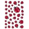 HERMA sticker DECOR COCCINELLES 3 x 37 etiquettes