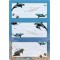 Herma etiquettes 5579 Couple de nom Manche pour l'ecole, motif dauphins, format 7,6 x 3,5 cm, pailletes, contenu : 6 etiquettes 