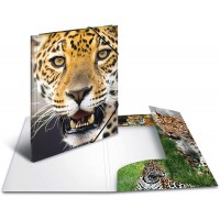 HERMA Chemises a  elastique Animaux Leopard A4, Polypropylene, avec impression interieure, chemise plastique avec rabat