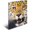 HERMA Chemises a  elastique Animaux Leopard A4, Polypropylene, avec impression interieure, chemise plastique avec rabat