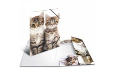 HERMA Chemises a  elastique Animaux Chats A4, Polypropylene, avec impression interieure, chemise plastique avec rabat
