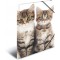 HERMA Chemises a  elastique Animaux Chats A4, Polypropylene, avec impression interieure, chemise plastique avec rabat