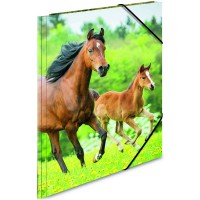 HERMA Chemises 3 rabats et elastique polypro pour A4 Motif Chevaux