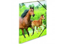 HERMA Chemises 3 rabats et elastique polypro pour A4 Motif Chevaux