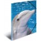HERMA 7141 Polypropylene (PP) Multicolore fichier - Fichiers (Polypropylene (PP), Multicolore, A4, Portrait)