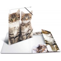 HERMA Chemises a  elastique Animaux Chats A3, Polypropylene, avec impression interieure, chemise plastique avec rabat