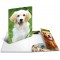 HERMA Chemises a  elastique Animaux Chiens A3, Polypropylene, avec impression interieure, chemise plastique avec rabat