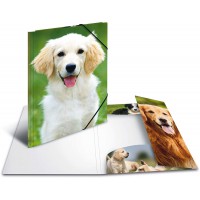 HERMA Chemises a  elastique Animaux Chiens A3, Polypropylene, avec impression interieure, chemise plastique avec rabat