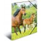 HERMA Chemises a  elastique Animaux Chevaux A3, Polypropylene, avec impression interieure, chemise plastique avec rabat