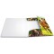 HERMA Chemises a  elastique Animaux Chevaux A3, Polypropylene, avec impression interieure, chemise plastique avec rabat