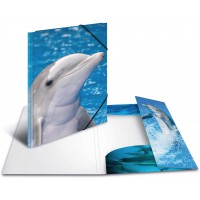 HERMA Chemises a elastique Animaux Dauphins A3, Polypropylene, avec impression interieure, chemise plastique avec ra