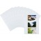 Herma 7584 Pack de 10 pochettes pour 6 photos 9 x 13 cm orientation paysage (Blanc) (Import Allemagne)