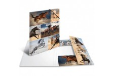 HERMA Chemises a  elastique Animaux avec motif Chevaux, A4, carton robuste, avec impression interieure, 1 portee de chemise