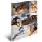 HERMA Chemises a  elastique Animaux avec motif Chevaux, A4, carton robuste, avec impression interieure, 1 portee de chemise