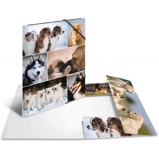 HERMA Chemises a  elastique Animaux avec motif Chiens, A4, carton robuste, avec impression interieure, 1 portee de chemise