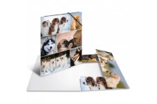 HERMA Chemises a  elastique Animaux avec motif Chiens, A4, carton robuste, avec impression interieure, 1 portee de chemise