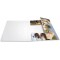 HERMA Chemises a  elastique Animaux avec motif Chiens, A4, carton robuste, avec impression interieure, 1 portee de chemise