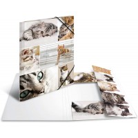 HERMA Chemises a  elastique Animaux avec motif Chats, A4, carton robuste, avec impression interieure, 1 portee de chemise