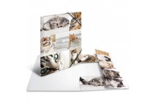 HERMA Chemises a  elastique Animaux avec motif Chats, A4, carton robuste, avec impression interieure, 1 portee de chemise