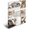 HERMA Chemises a  elastique Animaux avec motif Chats, A4, carton robuste, avec impression interieure, 1 portee de chemise