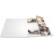 HERMA Chemises a  elastique Animaux avec motif Chats, A4, carton robuste, avec impression interieure, 1 portee de chemise