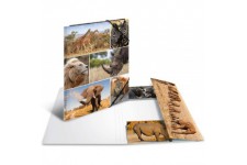 HERMA Chemises a  elastique Animaux avec motif Aniimaux d'afrique, A4, carton robuste, avec impression interieure, 1 portee de c