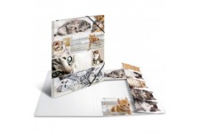 HERMA Chemises a  elastique Animaux avec motif Chats, A3, carton robuste, avec impression interieure, 1 portee de chemise